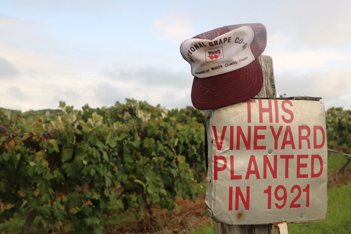Vineyard in St. James celebrates centennial MO Wines